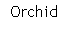 Text Box: Orchid