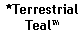 Text Box: *TerrestrialTeal