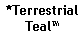 Text Box: *TerrestrialTeal