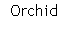 Text Box: Orchid