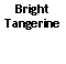Text Box: BrightTangerine